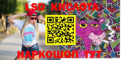 стафф Камышлов