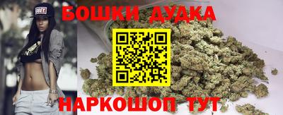 стафф Камышлов