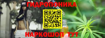 стафф Камышлов