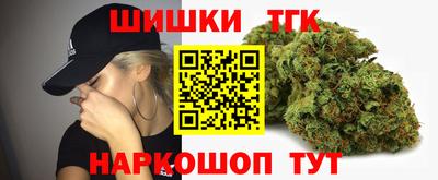 стафф Камышлов