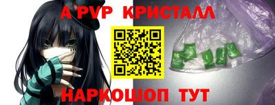 стафф Камышлов