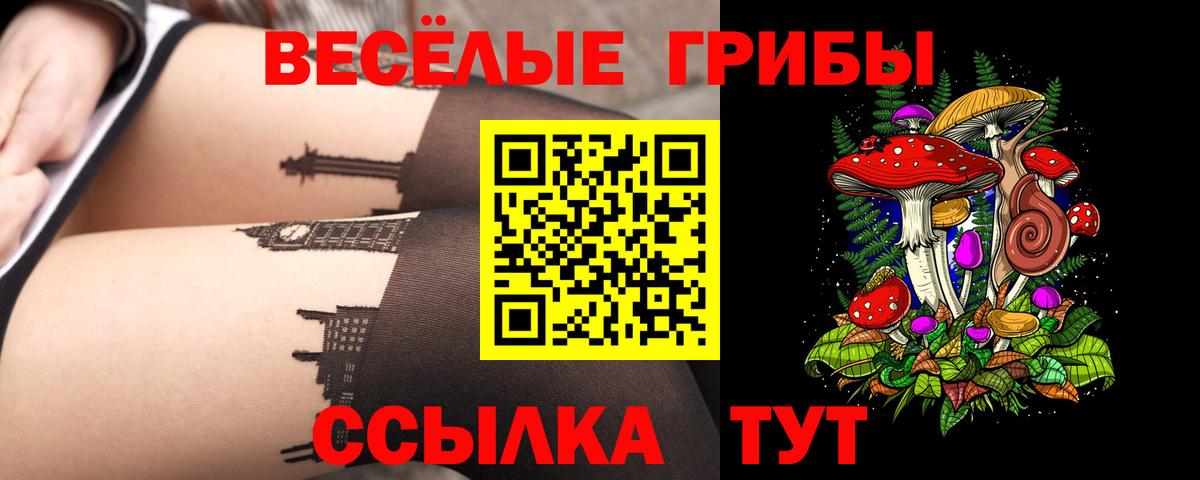 Галлюциногенные грибы ЛСД  купить закладку  Кызыл  Вход с VPN  Галлюциногенные грибы Cubensis 